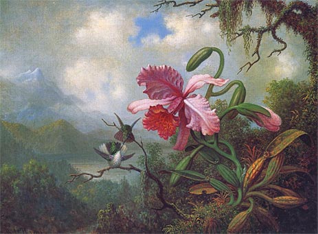 Orchid and Hummingbirds near a Mountain Lake, c.1875/90 | Martin Johnson Heade | Painting Reproduction