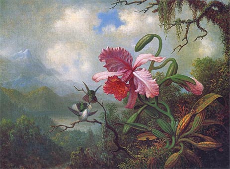 Orchidee und Kolibris in der Nähe eines Bergsees, c.1875/90 von Martin Johnson Heade | Gemälde-Reproduktion