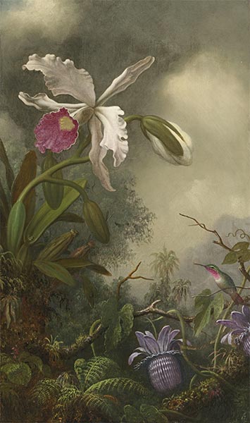 White Orchid and Hummingbird, c.1875/90 | Martin Johnson Heade | Gemälde Reproduktion