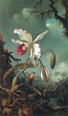 White Brazilian Orchid, c.1875/90 | Martin Johnson Heade | Painting Reproduction