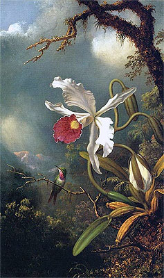 An Amethyst Hummingbird with a White Orchid, c.1875/90 | Martin Johnson Heade | Painting Reproduction