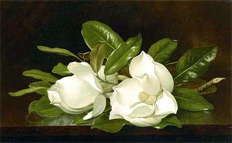 Magnolias on a Wooden Table, c.1883/88 | Martin Johnson Heade | Painting Reproduction