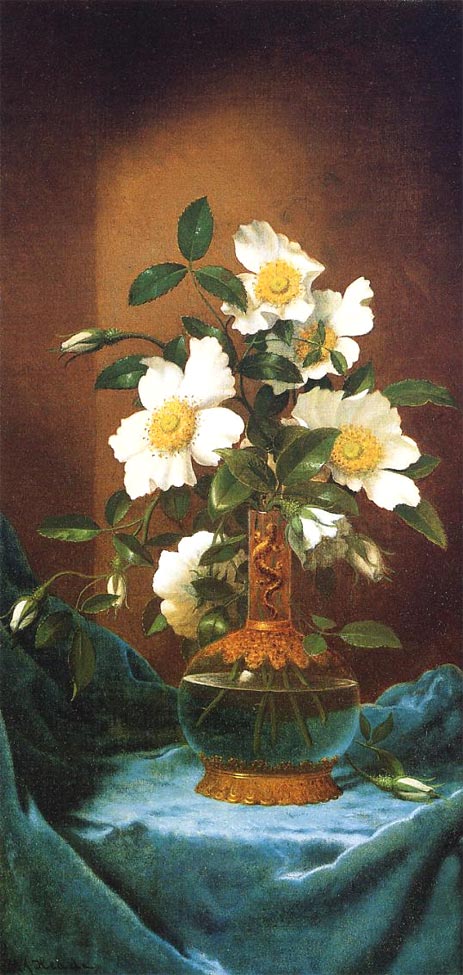 Weiße Cherokee-Rosen in einer Salamandervase, c.1883/95 von Martin Johnson Heade | Gemälde-Reproduktion