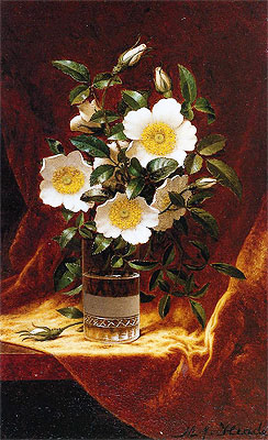 Cherokee Roses in a Glass, c.1883/95 | Martin Johnson Heade | Painting Reproduction