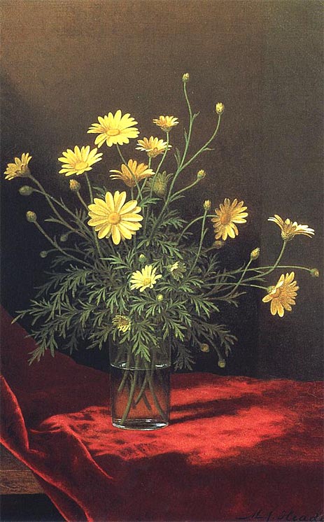Goldene Margeriten, c.1883/95 von Martin Johnson Heade | Gemälde-Reproduktion