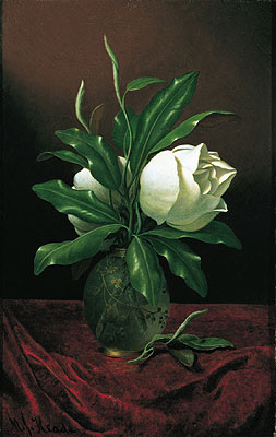 Zwei Magnolienblüten in einer Glasvase | Martin Johnson Heade | Gemälde Reproduktion