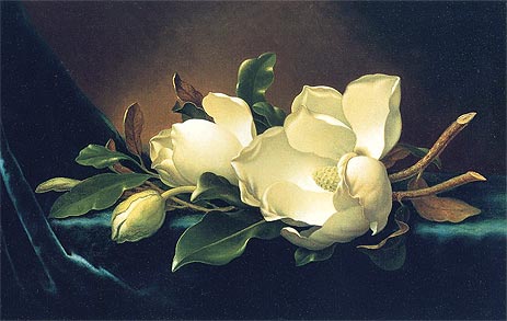 Two Magnolias and a Bud on Teal Velvet, c.1885/95 | Martin Johnson Heade | Painting Reproduction