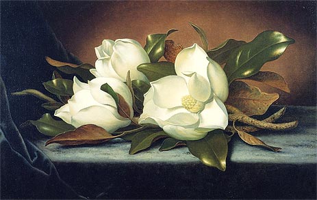 Giant Magnolias, c.1885/95 | Martin Johnson Heade | Gemälde Reproduktion