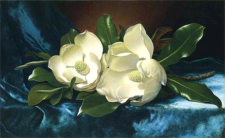Magnolien auf einem blauen Samttuch | Martin Johnson Heade | Gemälde Reproduktion