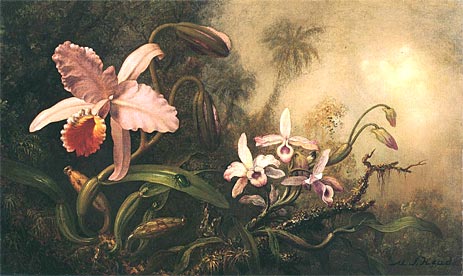 Orchideen und ein Käfer | Martin Johnson Heade | Gemälde Reproduktion