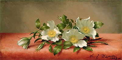 The Cherokee Rose, 1889 | Martin Johnson Heade | Gemälde Reproduktion