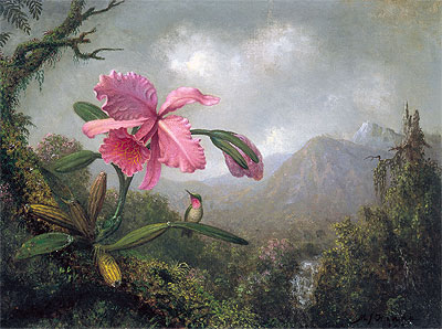 Orchid and Hummingbird near Mountain Waterfall | Martin Johnson Heade | Painting Reproduction