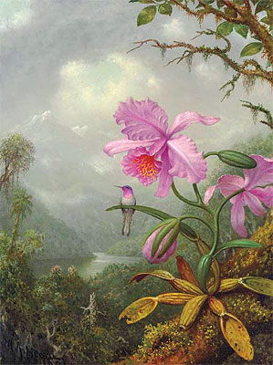 Hummingbird Perched on an Orchid Plat, 1901 | Martin Johnson Heade | Painting Reproduction