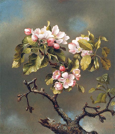 Branch of Apple Blossoms against a Cloudy Sky, 1867 | Martin Johnson Heade | Painting Reproduction