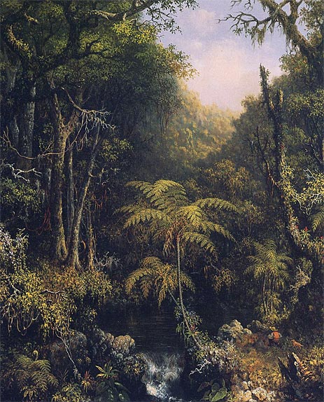 The Brazilian Rain Forest, 1864 | Martin Johnson Heade | Gemälde Reproduktion