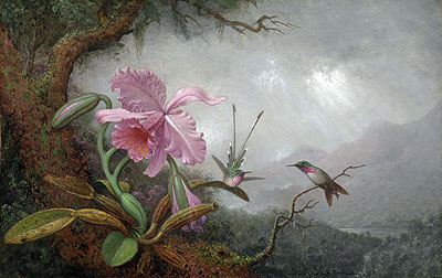 Hummingbirds and Orchids, 1880s | Martin Johnson Heade | Gemälde Reproduktion