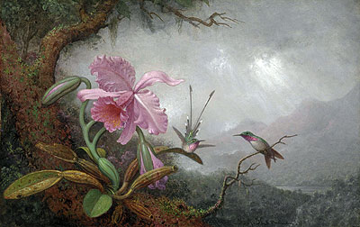 Hummingbirds and Orchids, 1880s | Martin Johnson Heade