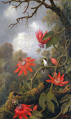Hummingbird and Passionflowers, c.1875/85 | Martin Johnson Heade