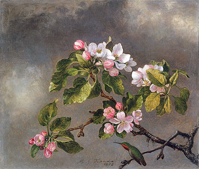 Hummingbird and Apple Blossoms, 1875 | Martin Johnson Heade