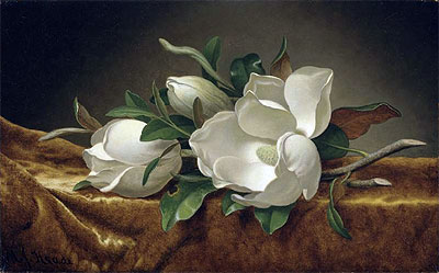 Magnolien auf goldenem Samtstoff | Martin Johnson Heade | Gemälde Reproduktion