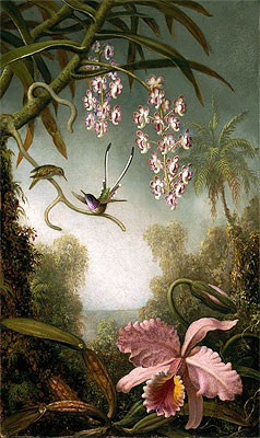 Orchids and Spray Orchids with Hummingbirds, c.1875/90 | Martin Johnson Heade | Painting Reproduction