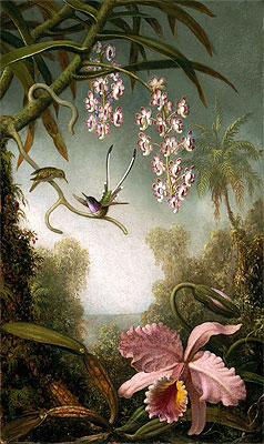 Orchids and Spray Orchids with Hummingbirds | Martin Johnson Heade | Painting Reproduction