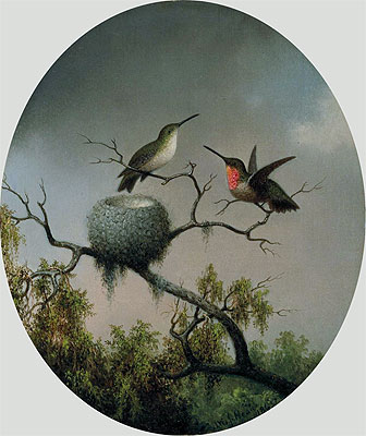 Hummingbirds with Nest | Martin Johnson Heade | Painting Reproduction
