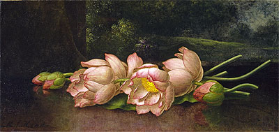 Lotus Flowers: A Landscape Painting in the Background, c.1885/00 | Martin Johnson Heade | Gemälde Reproduktion