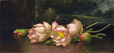 Lotusblumen: eine Landschaftsmalerei im Hintergrund | Martin Johnson Heade | Gemälde Reproduktion