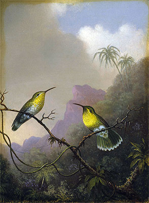 Two Humming Birds: 'Copper-tailed Amazili', c.1865/75 | Martin Johnson Heade | Painting Reproduction