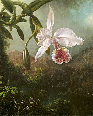 Orchid Blossoms, 1873 | Martin Johnson Heade | Painting Reproduction
