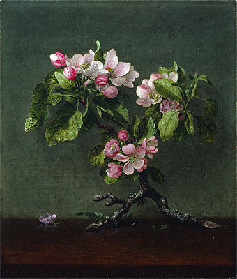 Apple Blossoms, 1873 | Martin Johnson Heade | Painting Reproduction