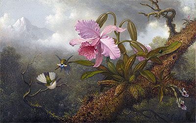 Cattleya Orchid, Two Hummingbirds and a Beetle, c.1875/90 | Martin Johnson Heade | Painting Reproduction