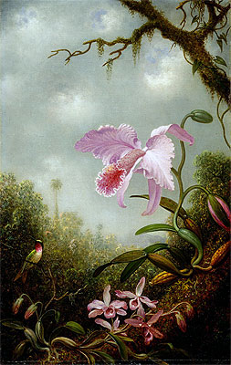 Hummingbird with Cattleya and Dendrobium Orchids, c.1890 | Martin Johnson Heade | Painting Reproduction