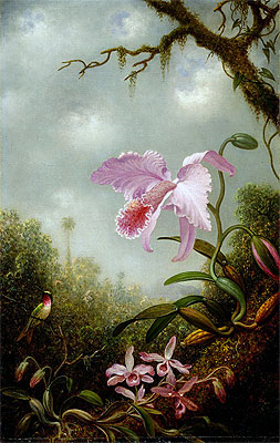 Hummingbird with Cattleya and Dendrobium Orchids, c.1890 | Martin Johnson Heade | Gemälde Reproduktion