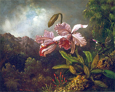 Orchids in a Jungle, 1870s | Martin Johnson Heade | Painting Reproduction