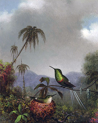 Two Thorn-Tails (Langsdorffs Thorn-Tail Brazil), c.1864/65 | Martin Johnson Heade | Gemälde Reproduktion