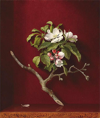 Apple Blossoms in a Corner, 1868 | Martin Johnson Heade | Painting Reproduction