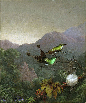 Racket-Tail Brazil, c.1863/65 | Martin Johnson Heade | Gemälde Reproduktion