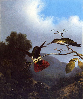 Schwarzkehl-Mango, c.1864/65  von Martin Johnson Heade | Gemälde-Reproduktion
