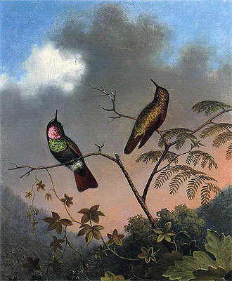 Brasilianische Rubin-Kolibris, c.1864/65  von Martin Johnson Heade | Gemälde-Reproduktion
