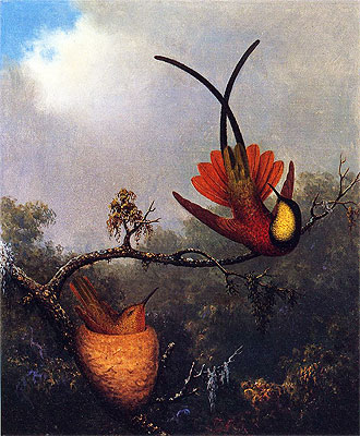 Feuerkopf-Topas, c.1864/65  von Martin Johnson Heade | Gemälde-Reproduktion