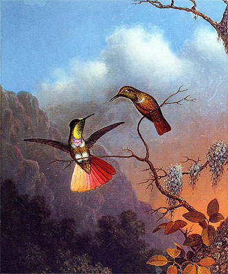 Hooded Visorbearer: Kaputzenträger, c.1864/65  von Martin Johnson Heade | Gemälde-Reproduktion