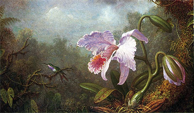 Hummingbird and Orchid: Kolibri und Orchidee, n.d. von Martin Johnson Heade | Gemälde-Reproduktion