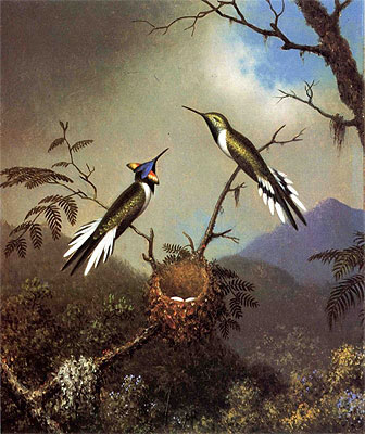 Hummingbirds at Their Nest - Sun Gems: Kolibris ..., c.1864/65  von Martin Johnson Heade | Gemälde-Reproduktion