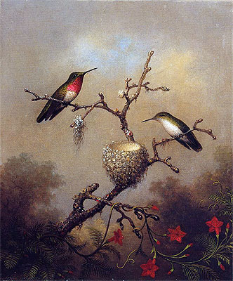 Ruby-Throated Hummingbird: Rubinkehlkolibri, c.1864/65  von Martin Johnson Heade | Gemälde-Reproduktion