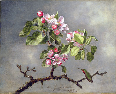 Apple Blossoms and a Hummingbird, 1875 | Martin Johnson Heade | Painting Reproduction