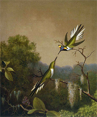 Brasilianische Kolibris IV (Heliactin Cornuta), n.d. von Martin Johnson Heade | Gemälde-Reproduktion