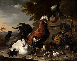 The Peace in the Chicken Yard, 1668 by Melchior d'Hondecoeter | Painting Reproduction