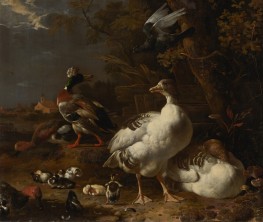Gänse und Enten | Melchior d'Hondecoeter | Gemälde Reproduktion